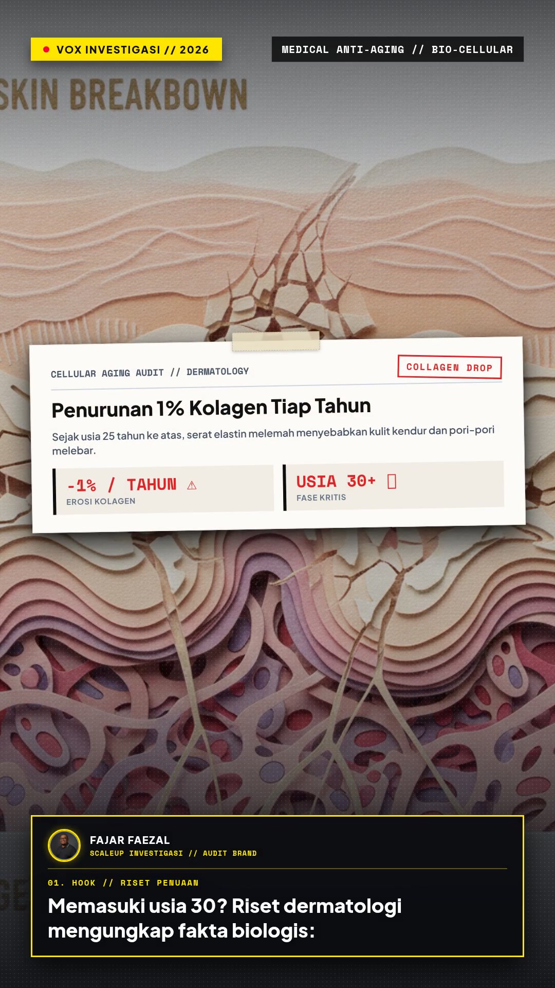 Preview Video